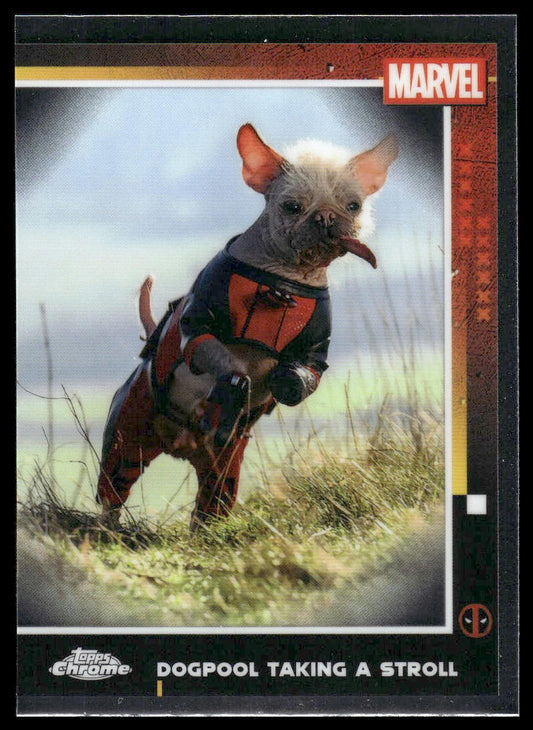 2025 Topps Chrome Marvel Deadpool #73 Dogpool Taking A Stroll