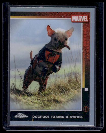 2025 Topps Chrome Deadpool #73 Dogpool Taking a Stroll Refractor